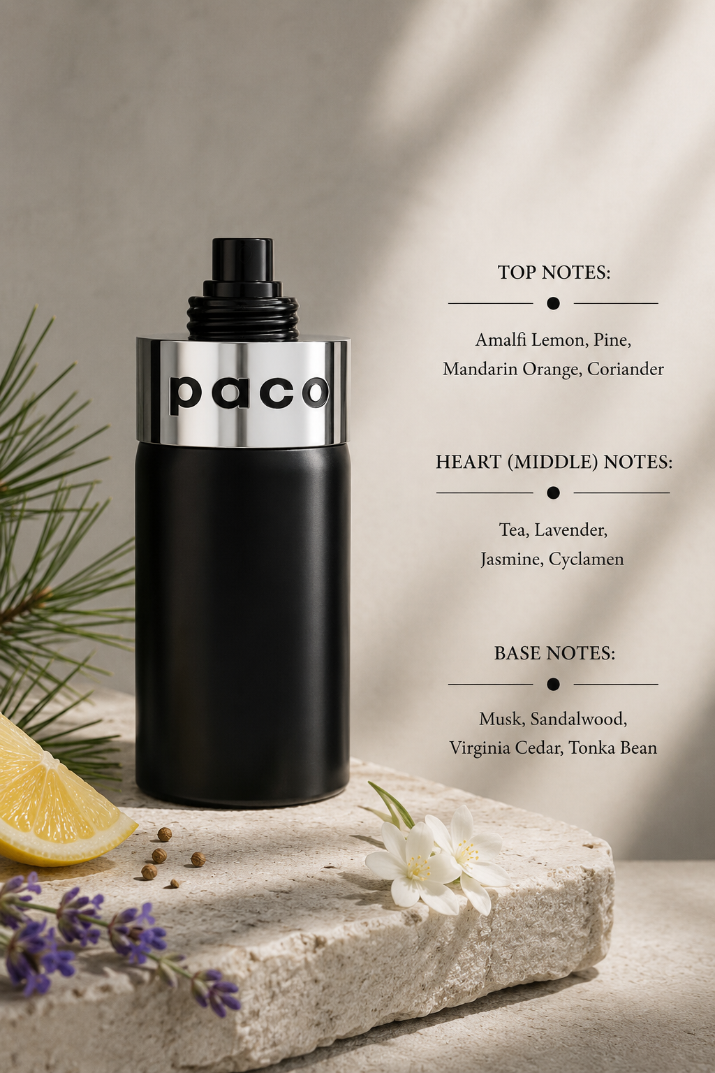Paco Rabanne Paco 100ml EDT - Men